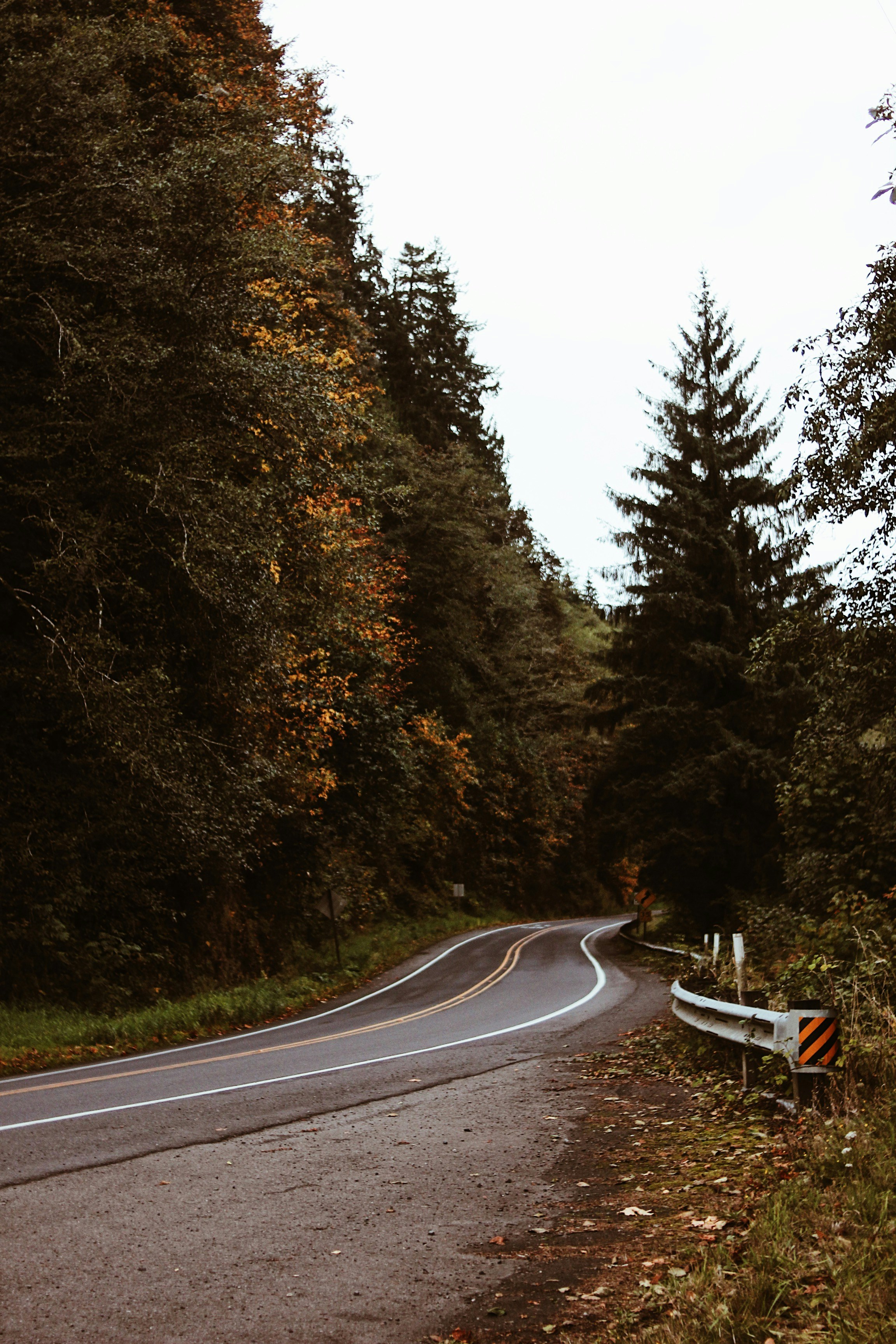 Photo by earthtokarly