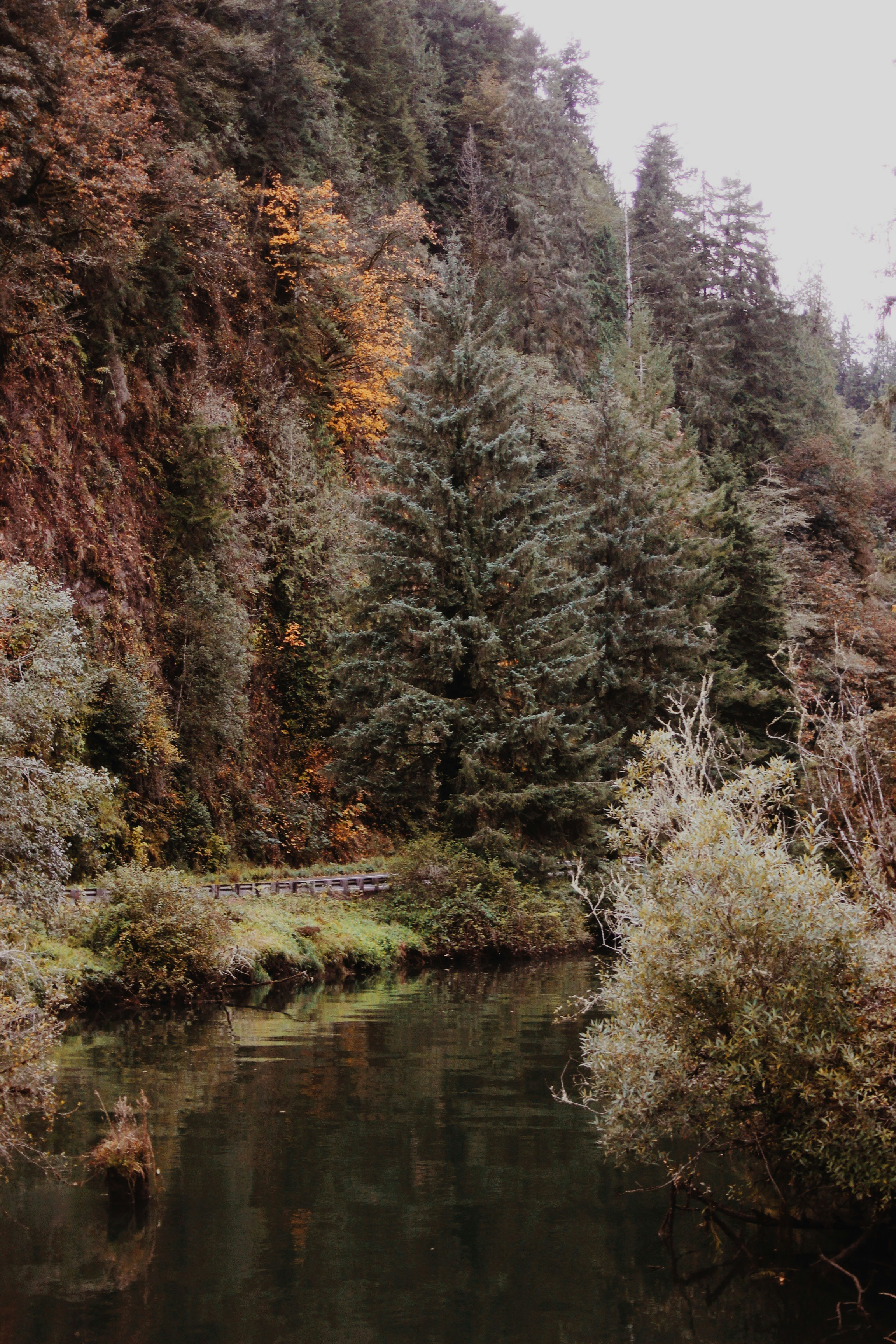 Photo by earthtokarly