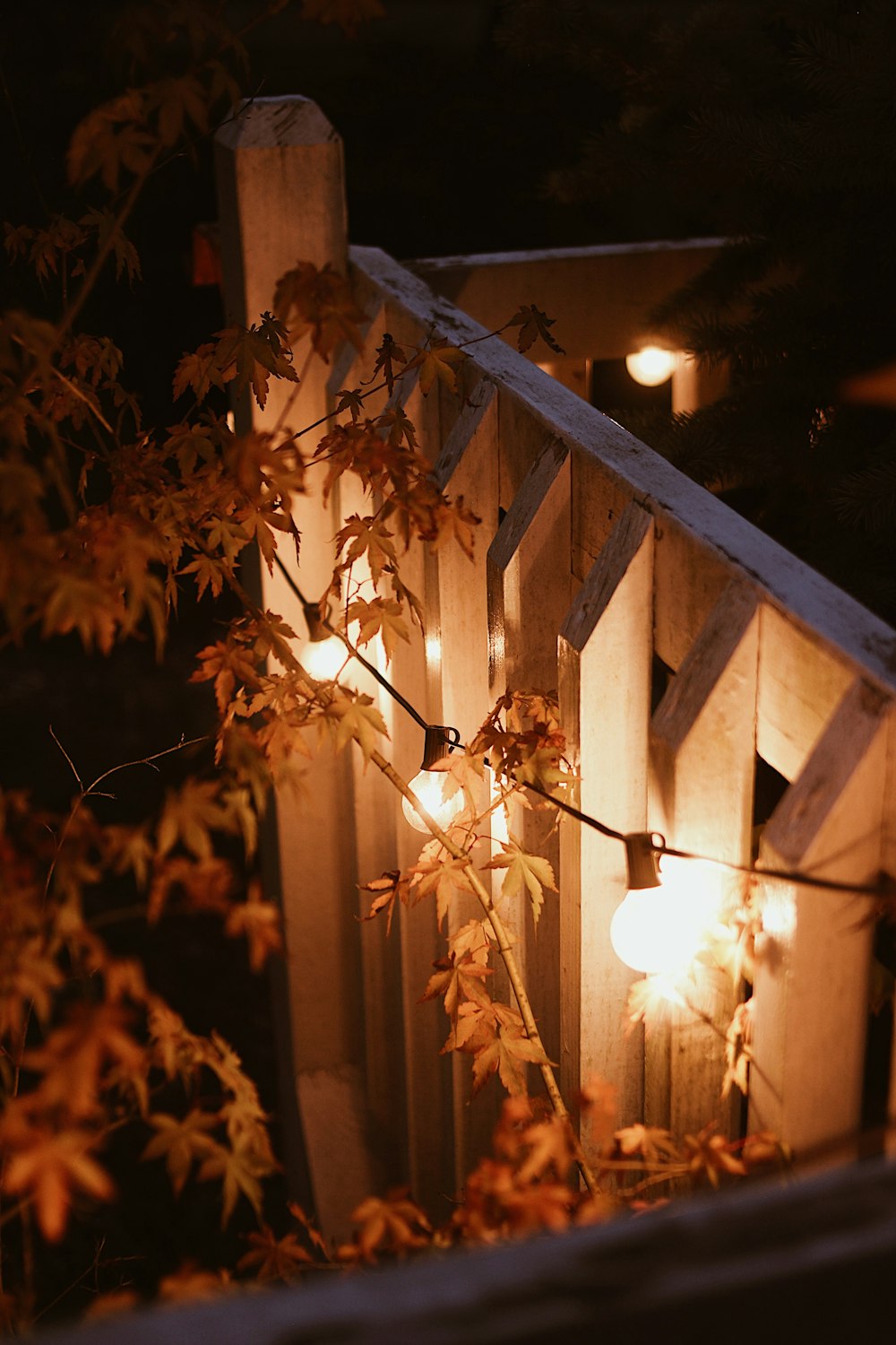 Hojas marrones en la cerca de madera marrón durante la noche