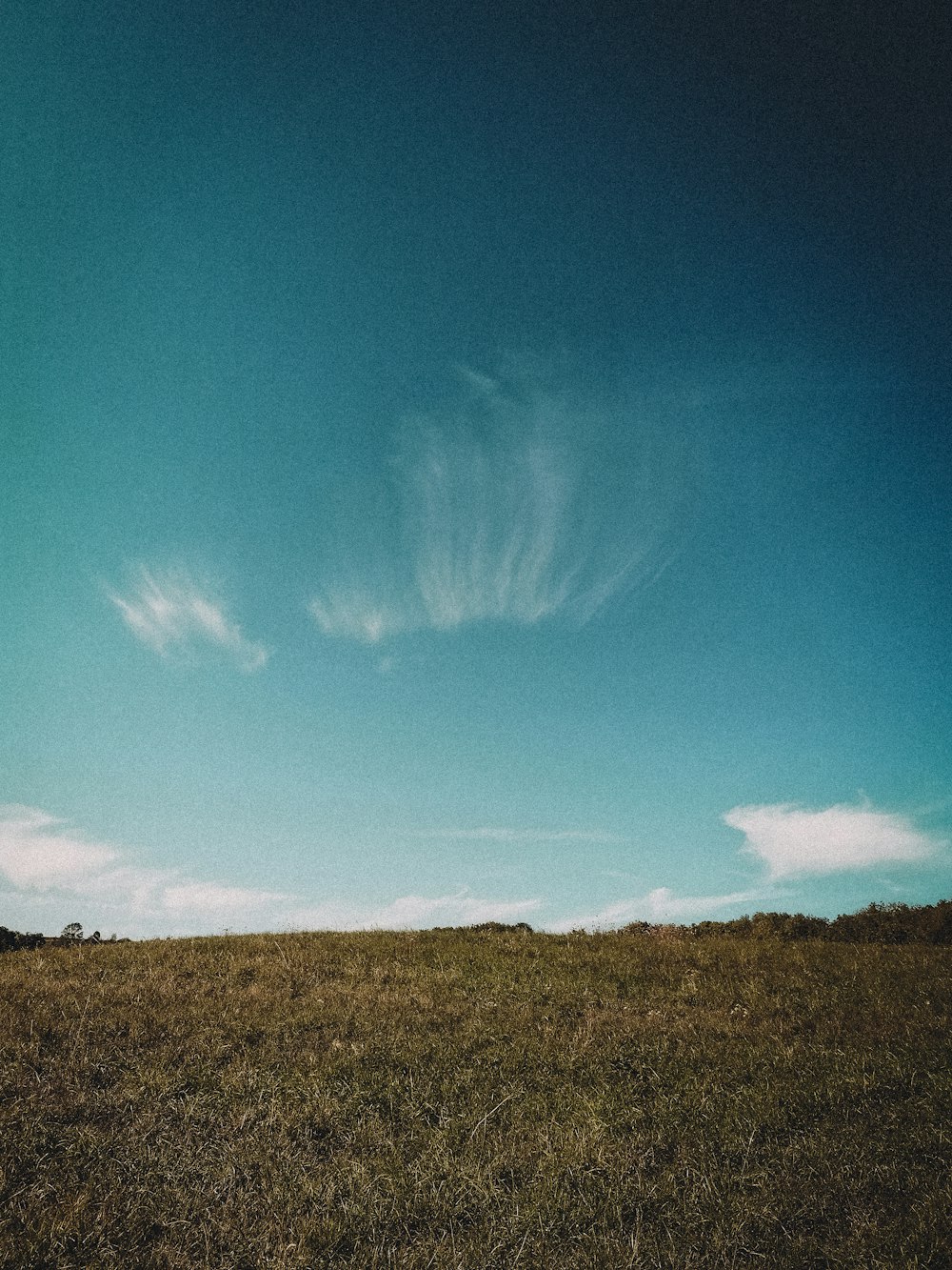 Grünes Grasfeld unter blauem Himmel tagsüber