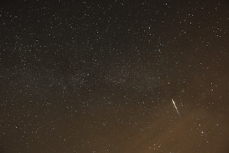 black and white starry night