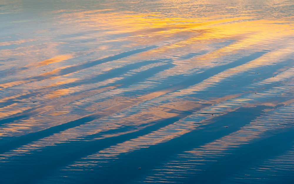 body of water during daytime