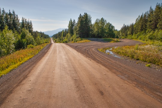 brown dirt road between green trees under blue sky during daytime in British Columbia Canada