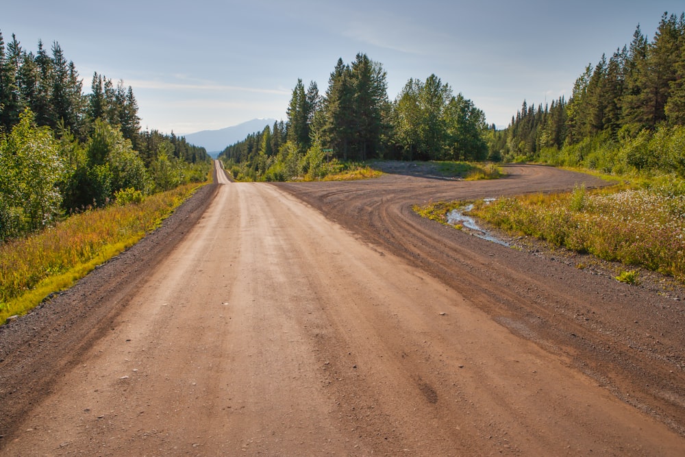 brown dirt road between green trees under blue sky during daytime