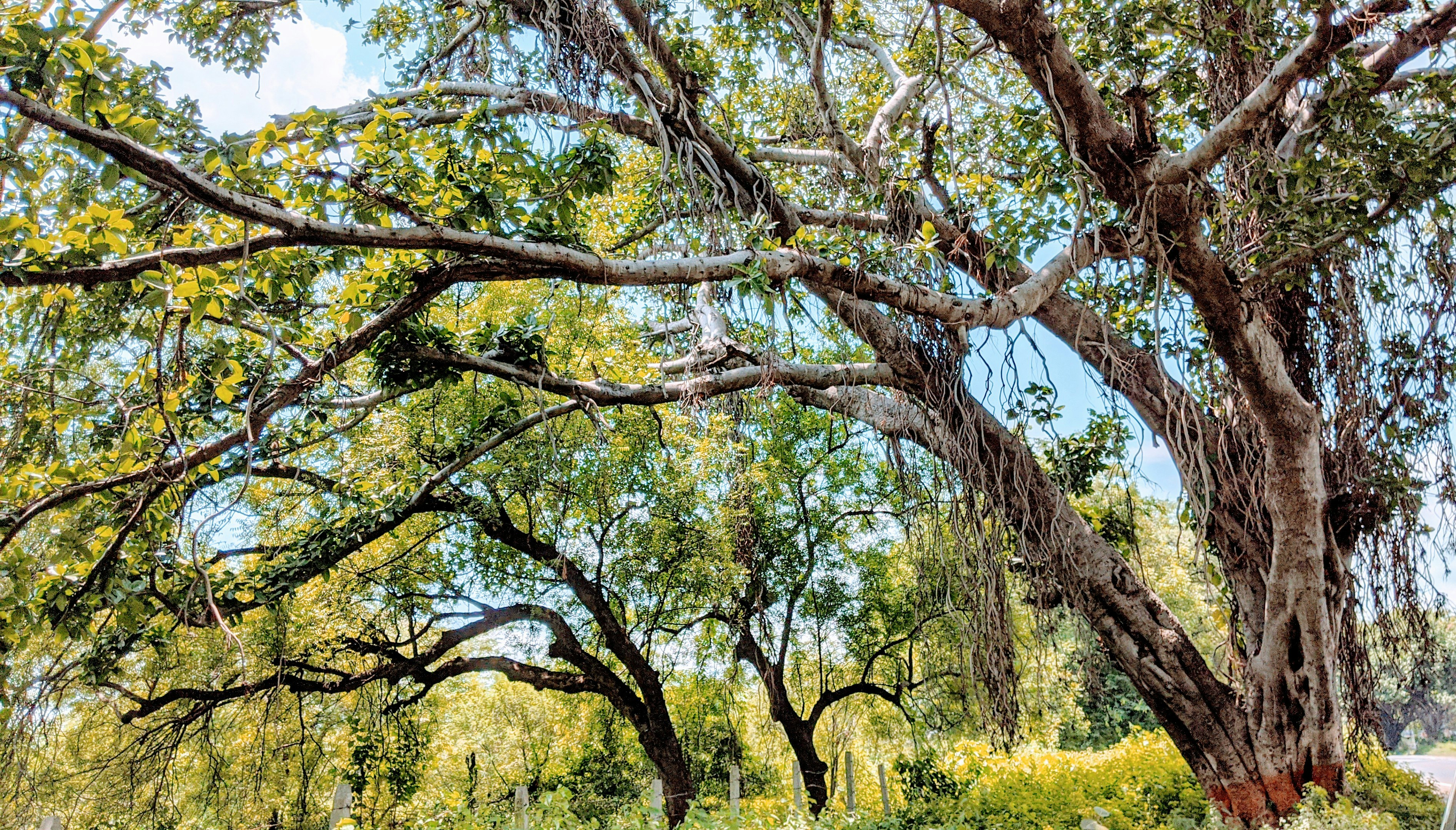 Photo by its_your_perspective