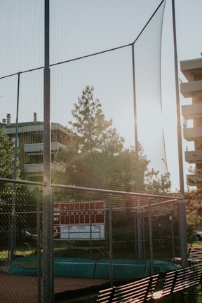 A baseball field with a tall chain-link backstop, a scoreboard, and bright sunlight streaming through trees in an urban setting. Nearby are buildings with several floors, adding to the atmosphere of a city sports area.