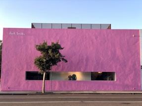 A large pink building with a minimalist design, featuring a narrow horizontal window display showcasing clothing. A single tree stands in front of the building on the sidewalk.