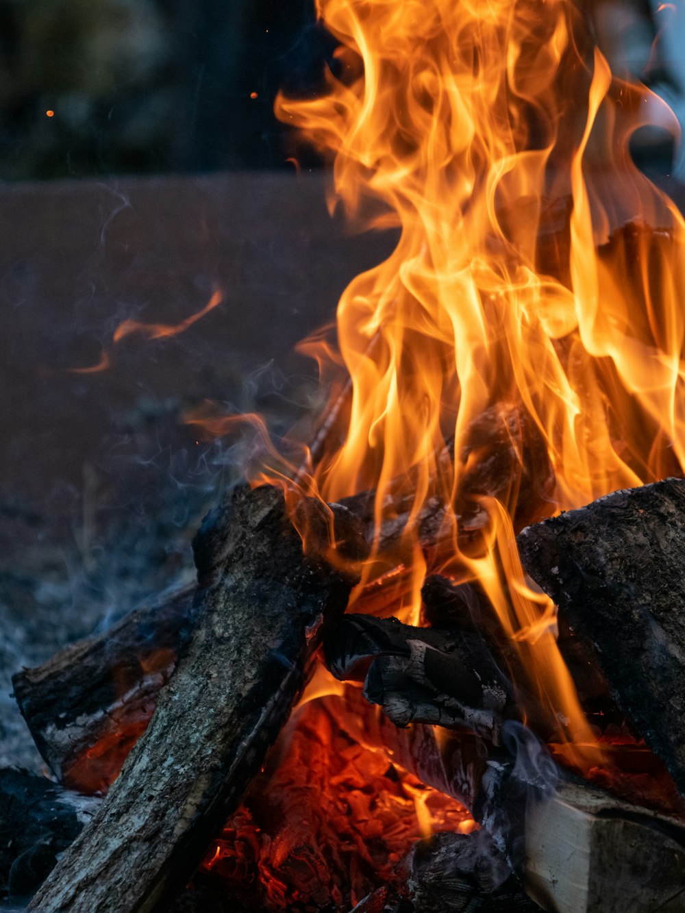 burning wood during night time