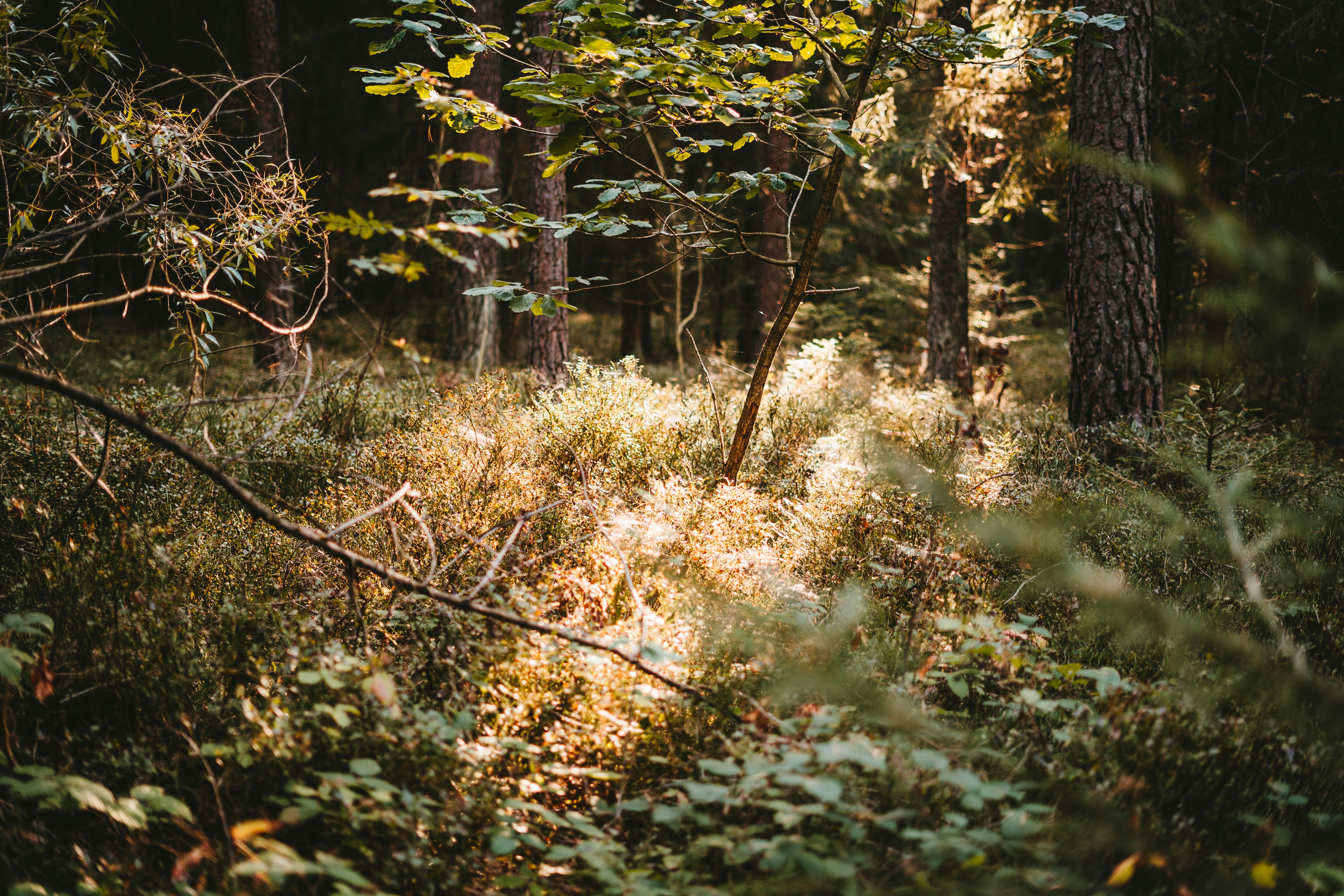 Photo by julianhochgesang