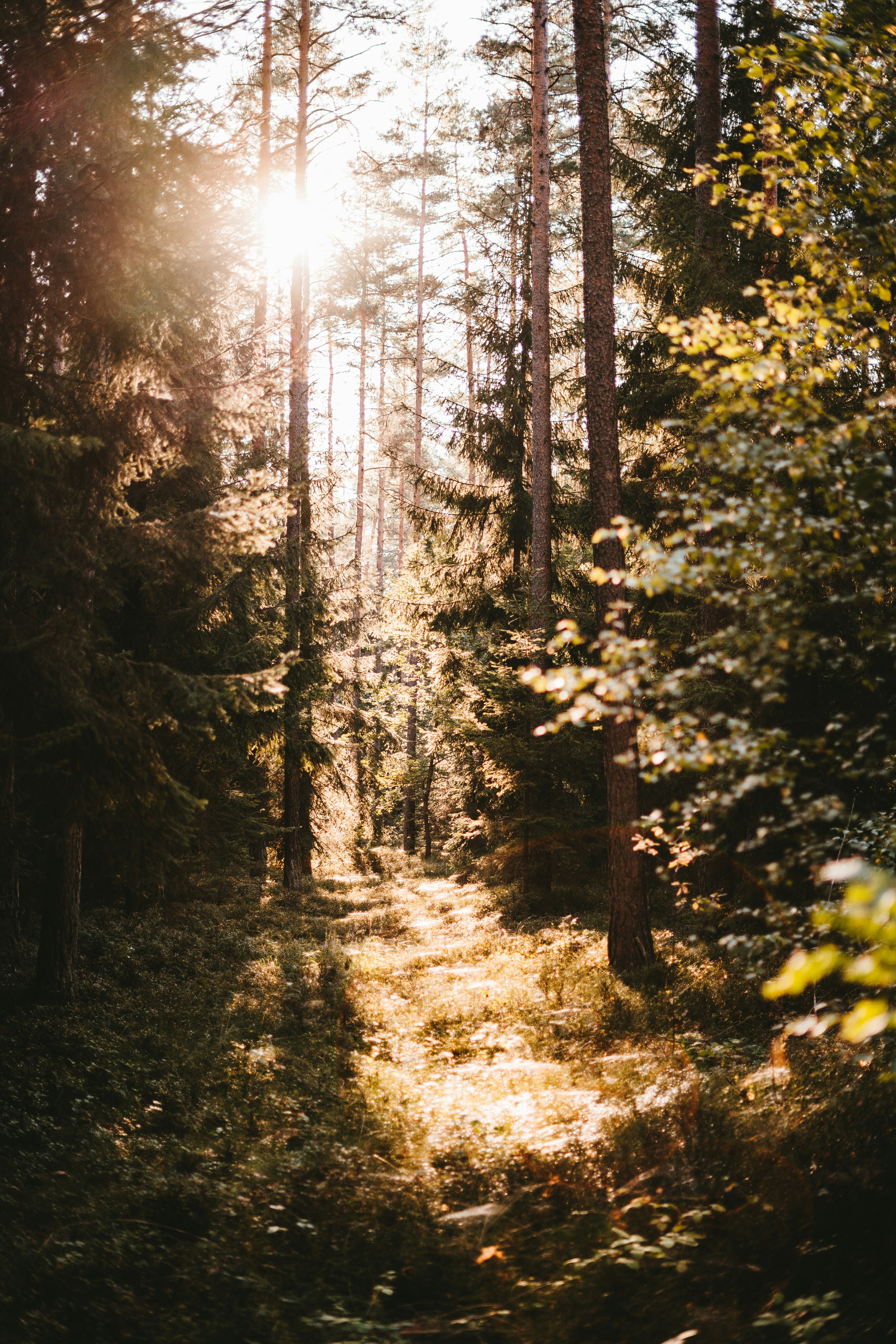 Photo by julianhochgesang