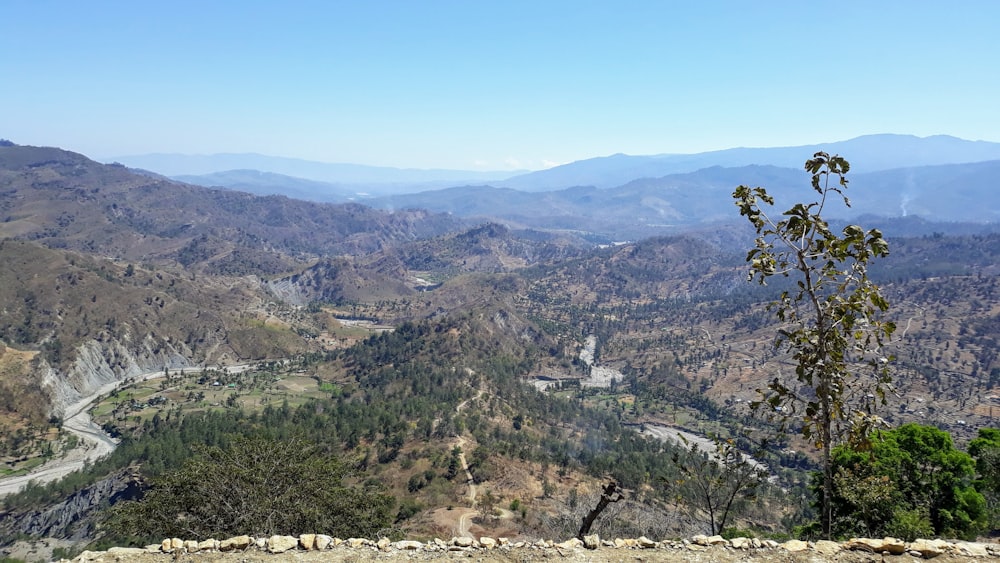 green trees on mountain during daytime