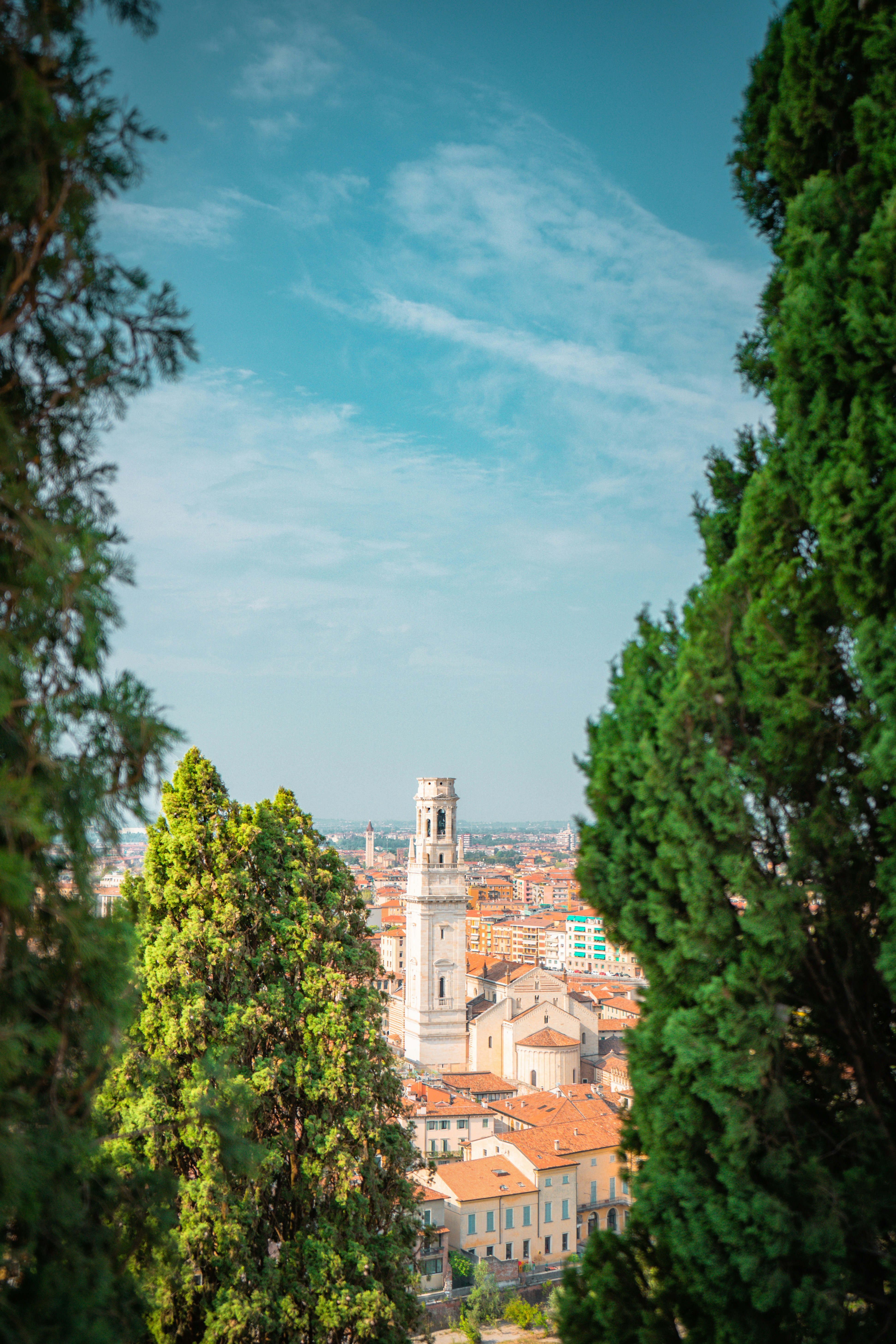 Photo by giovanni1304