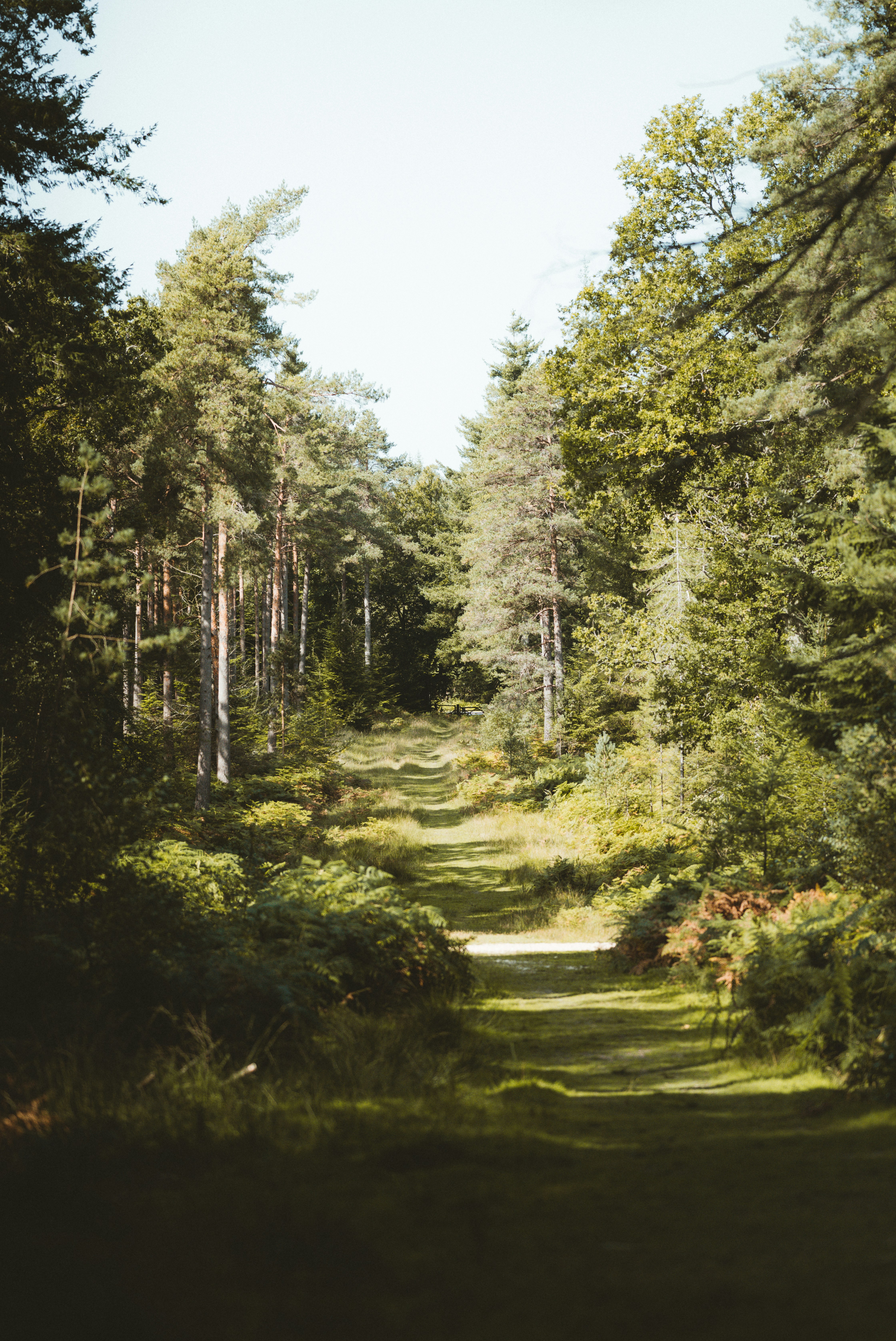 Photo by anniespratt