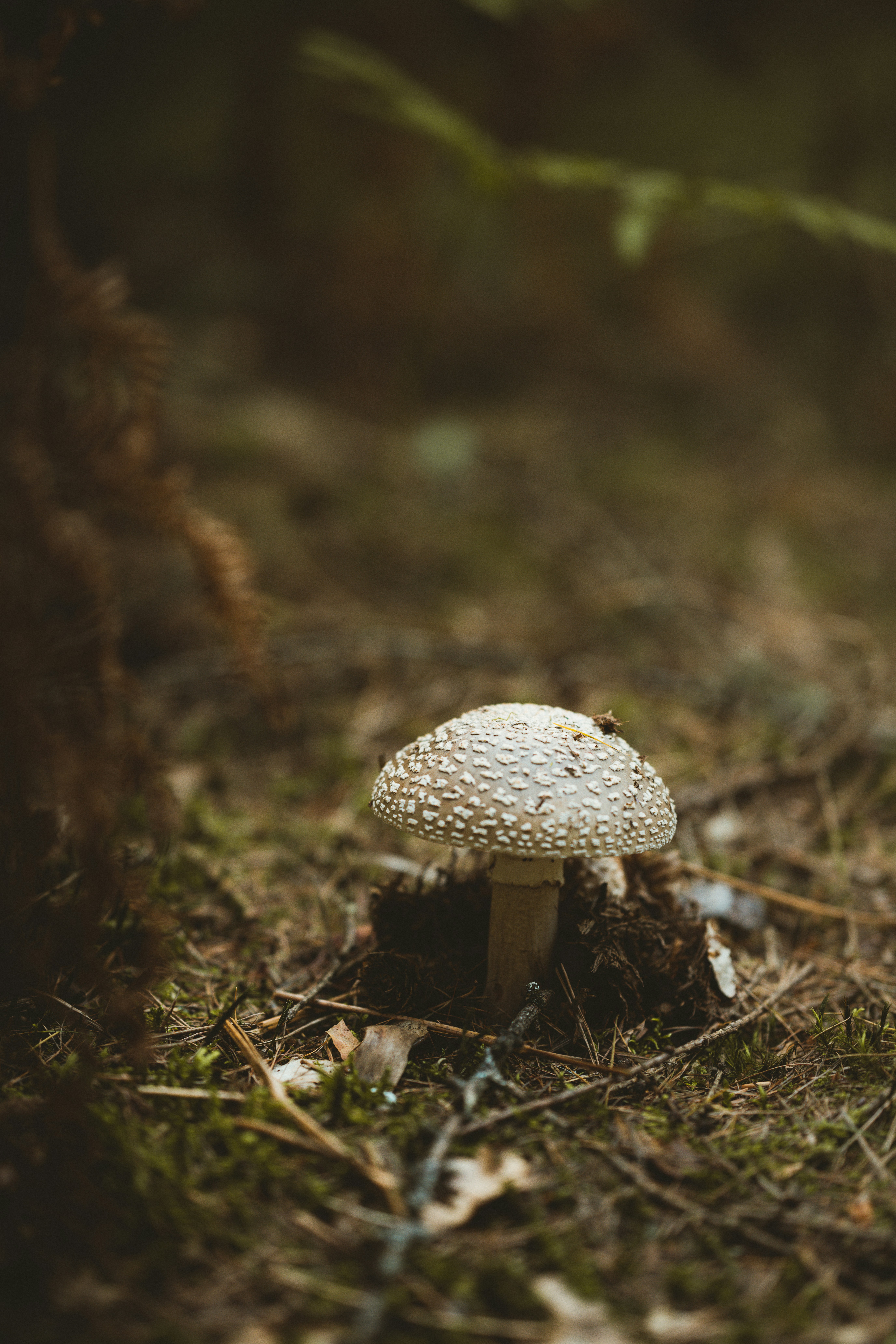 Photo by anniespratt