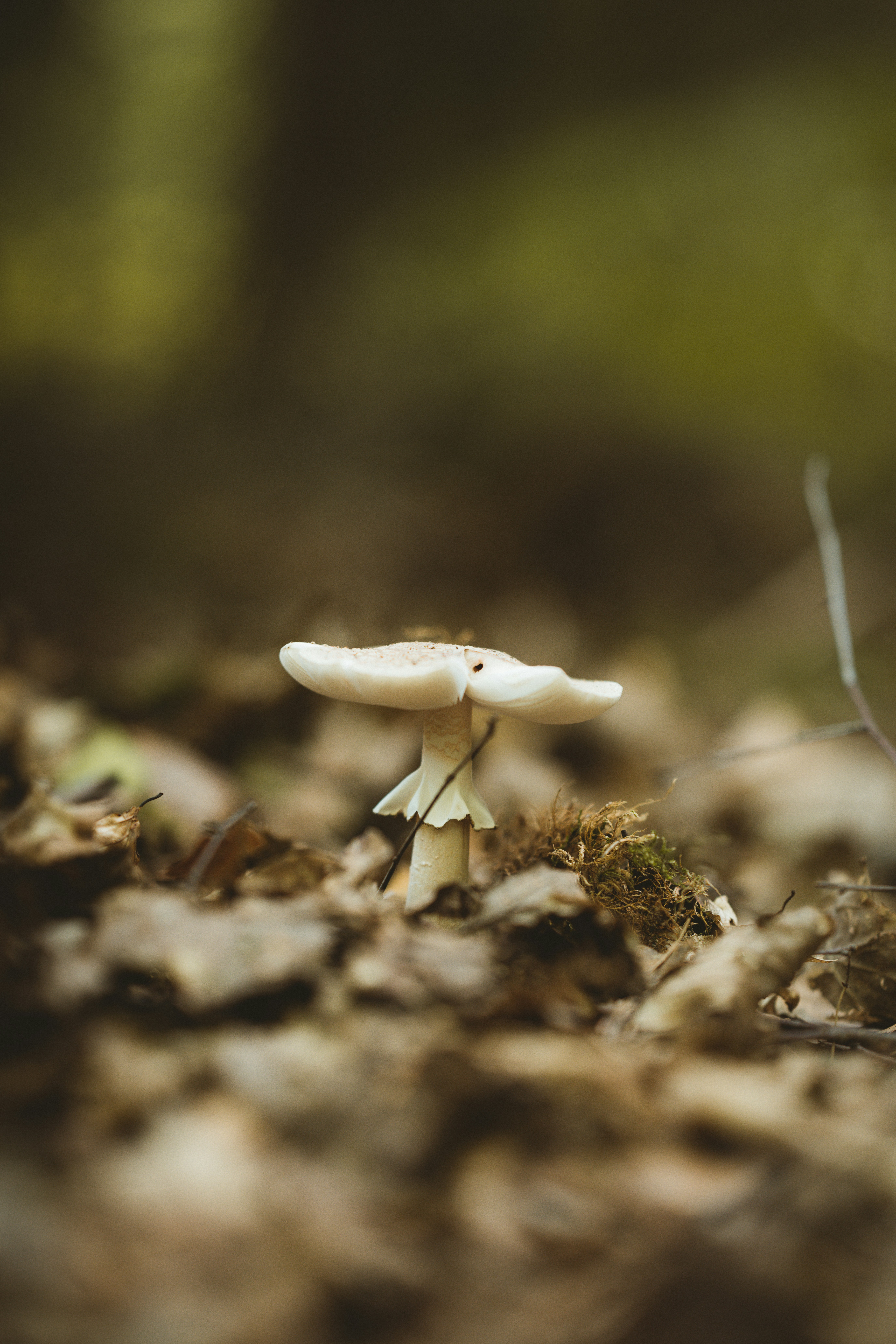 Photo by anniespratt