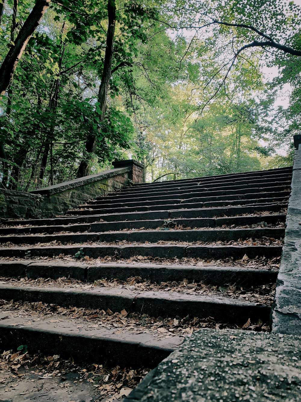 black and gray concrete stairs