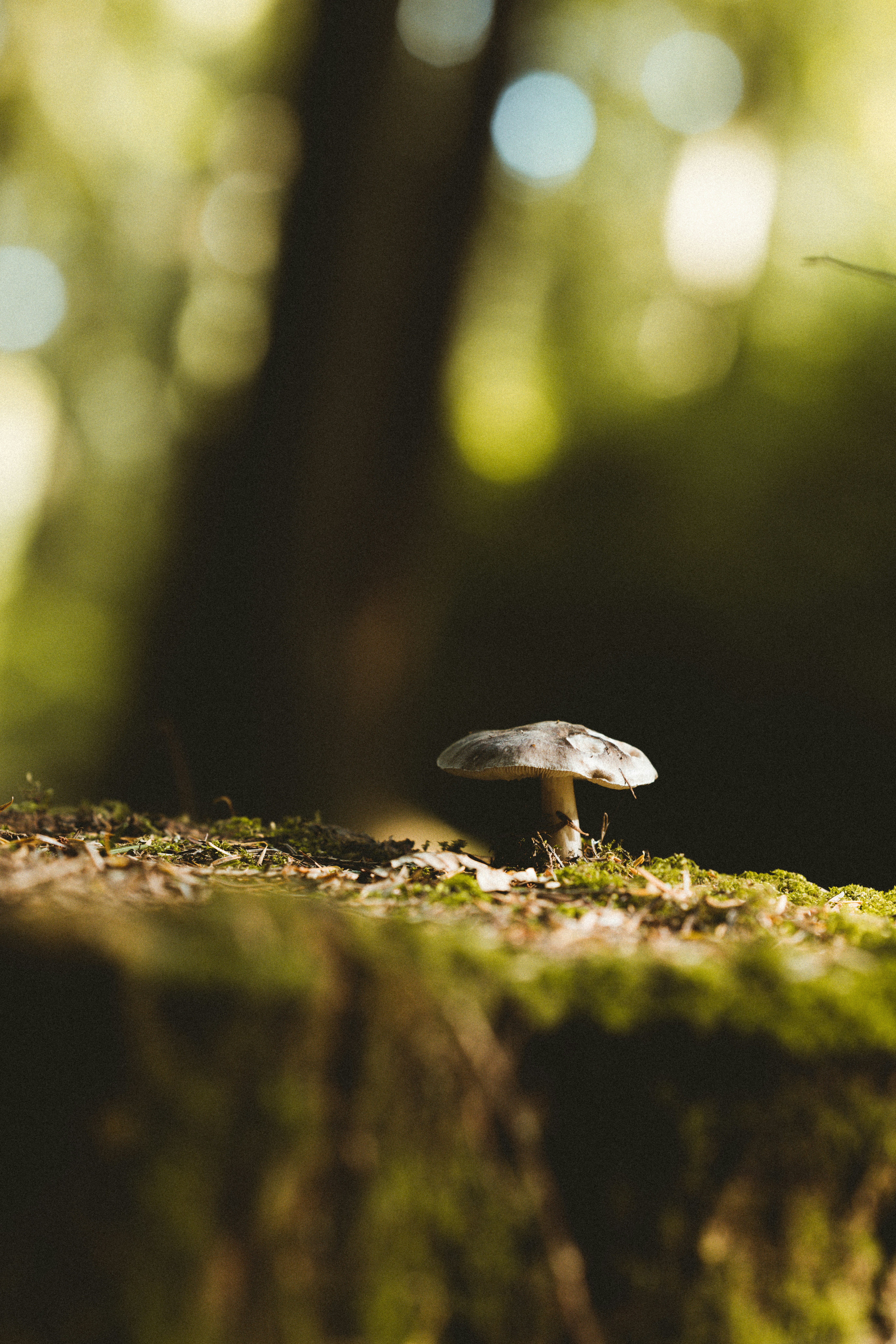 Photo by anniespratt