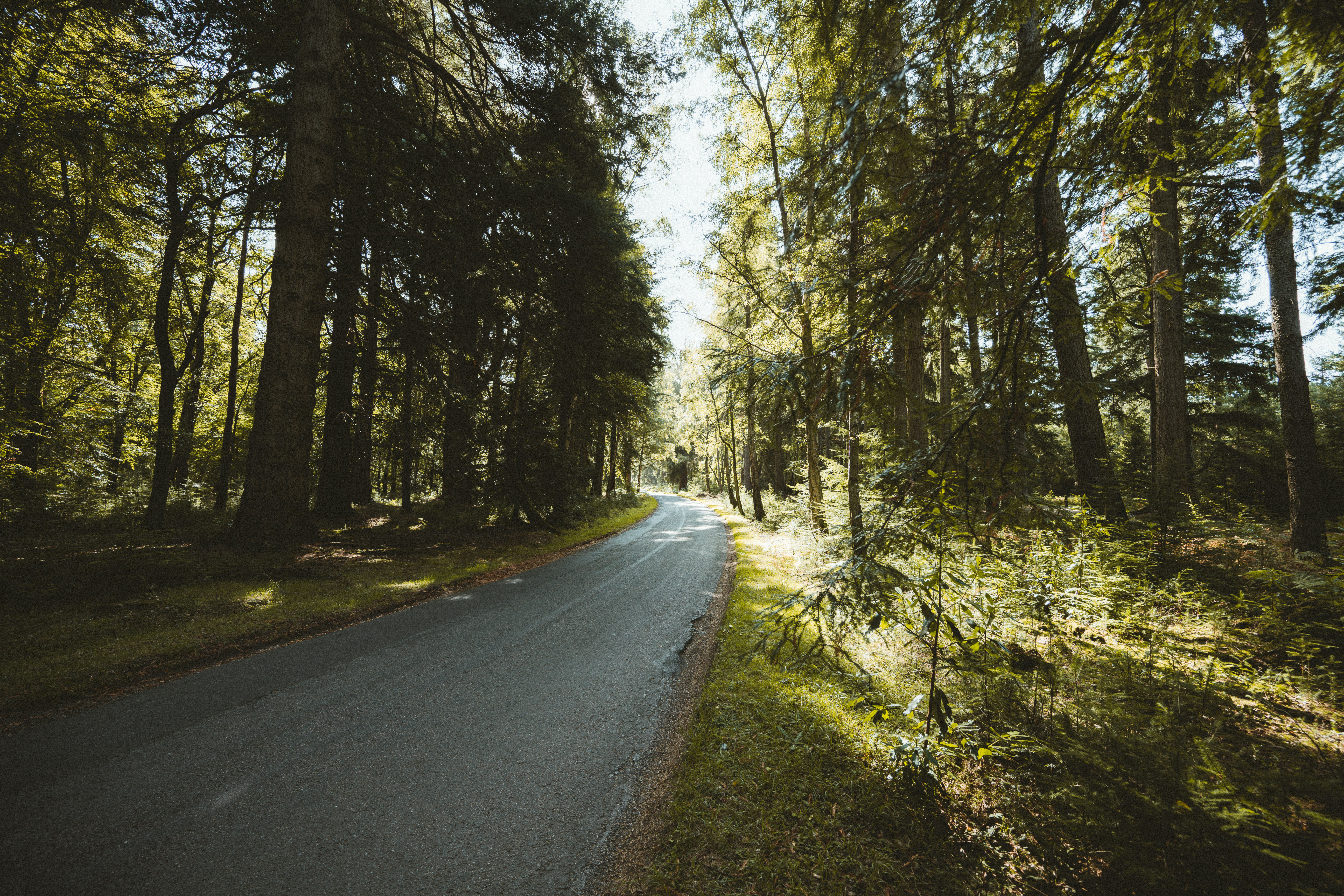 Photo by anniespratt