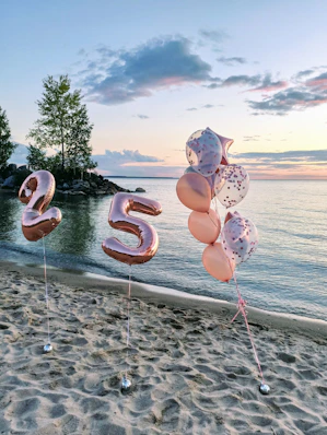 two brown and white heart shaped balloons on white metal rod near body of water during