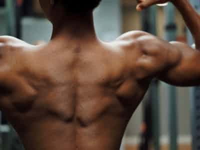 rygmuskler og muskler i ryggen