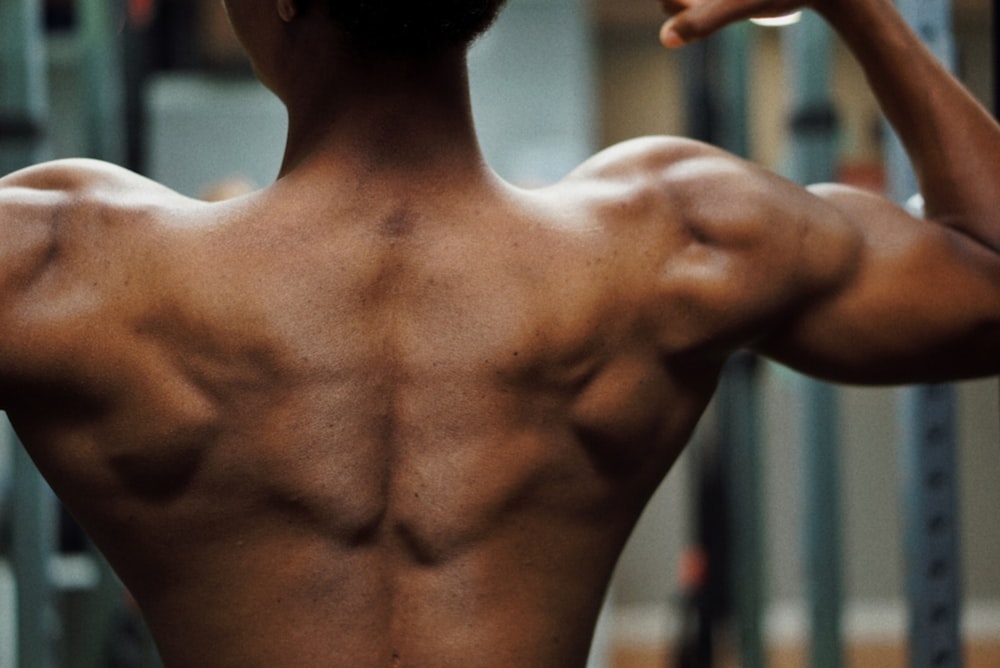 男性の背中の筋肉の画像