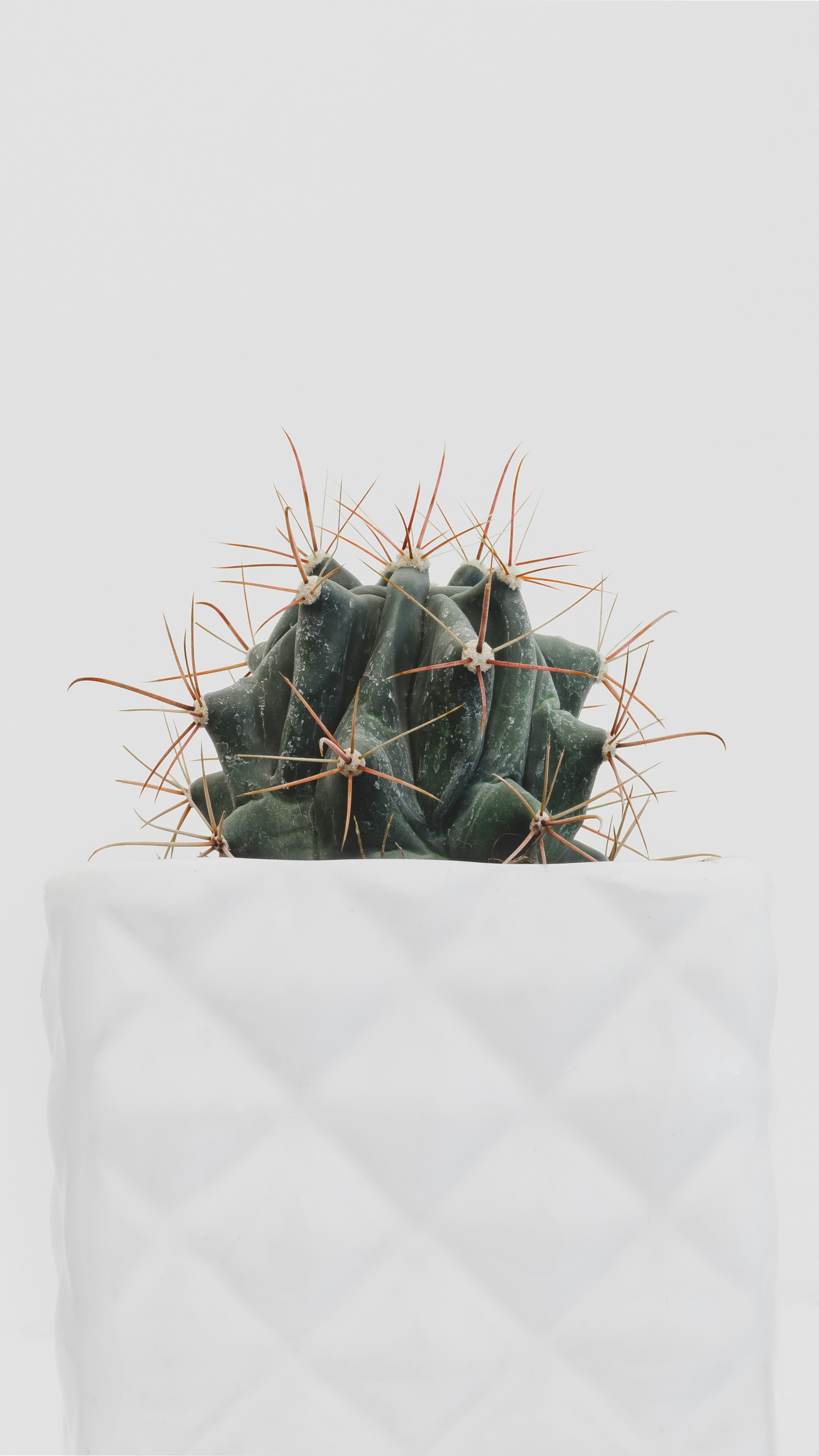 minimalist handbag wallpaper, wallpaper, Everyday Handbags: A Smart Guide to Picking Yours 4