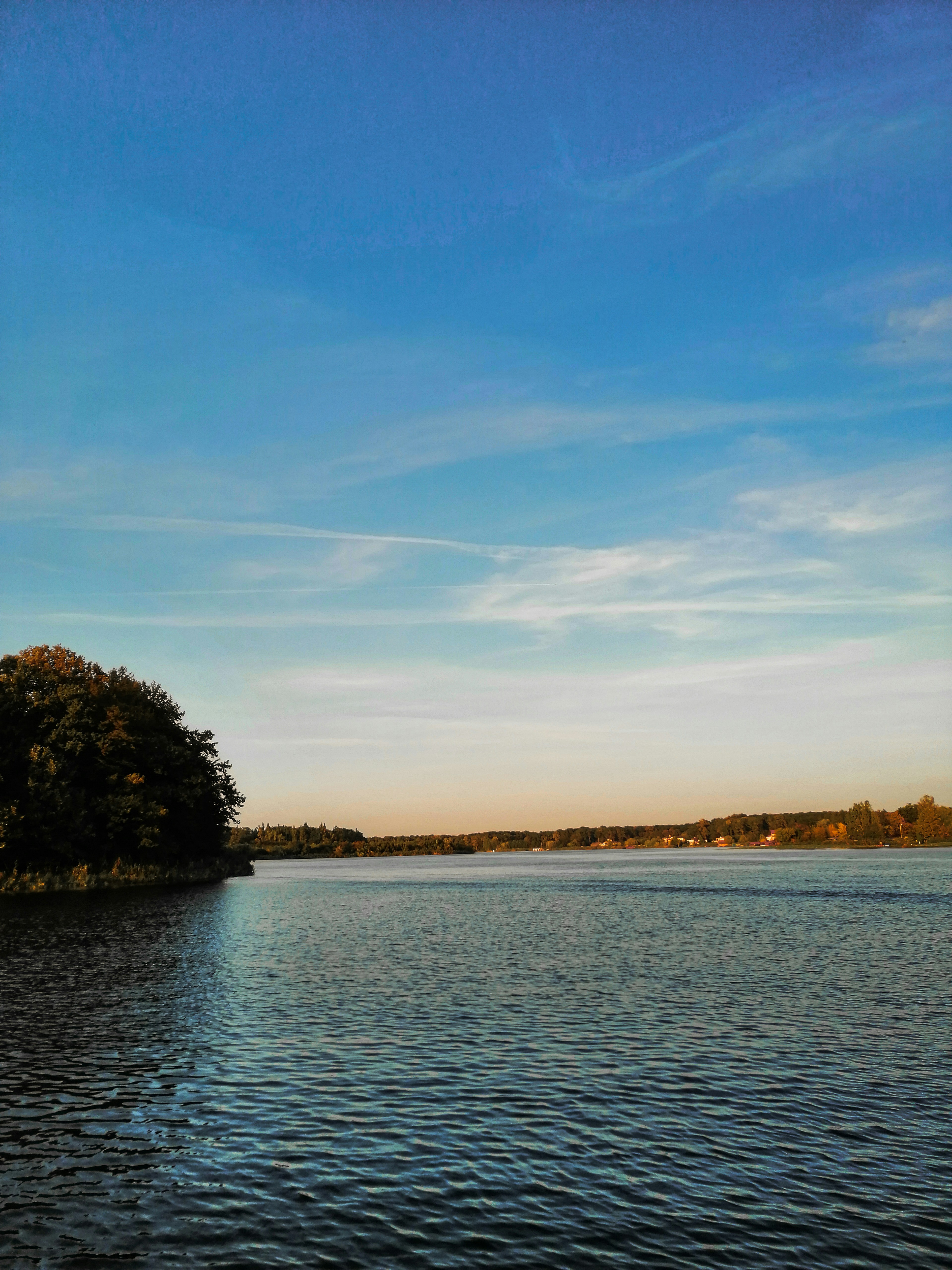 Photo by andreicnstn