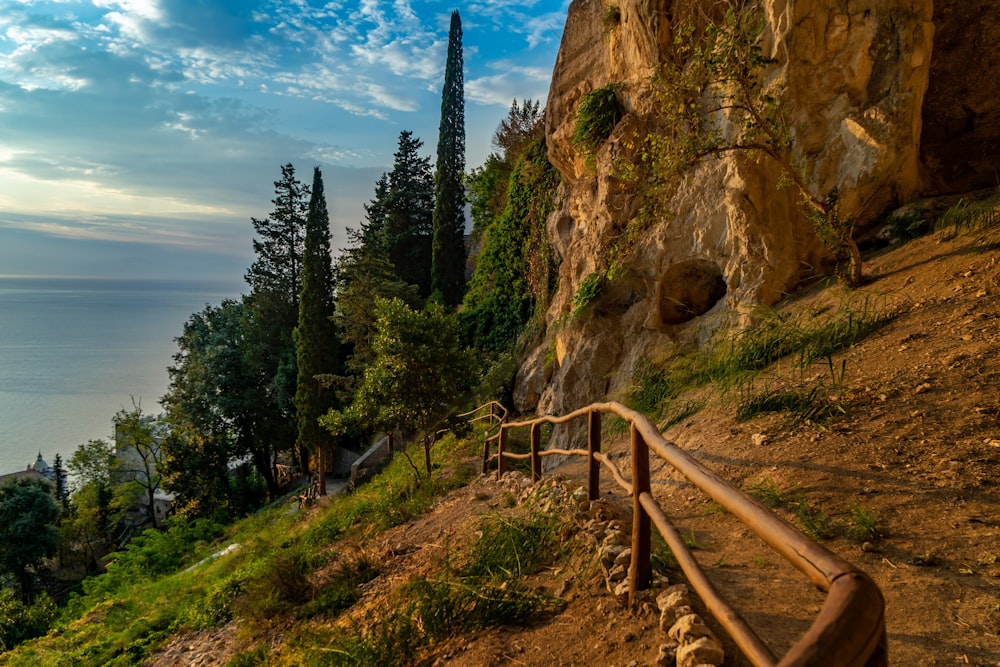 Scala di legno marrone vicino agli alberi verdi e allo specchio d'acqua durante il giorno