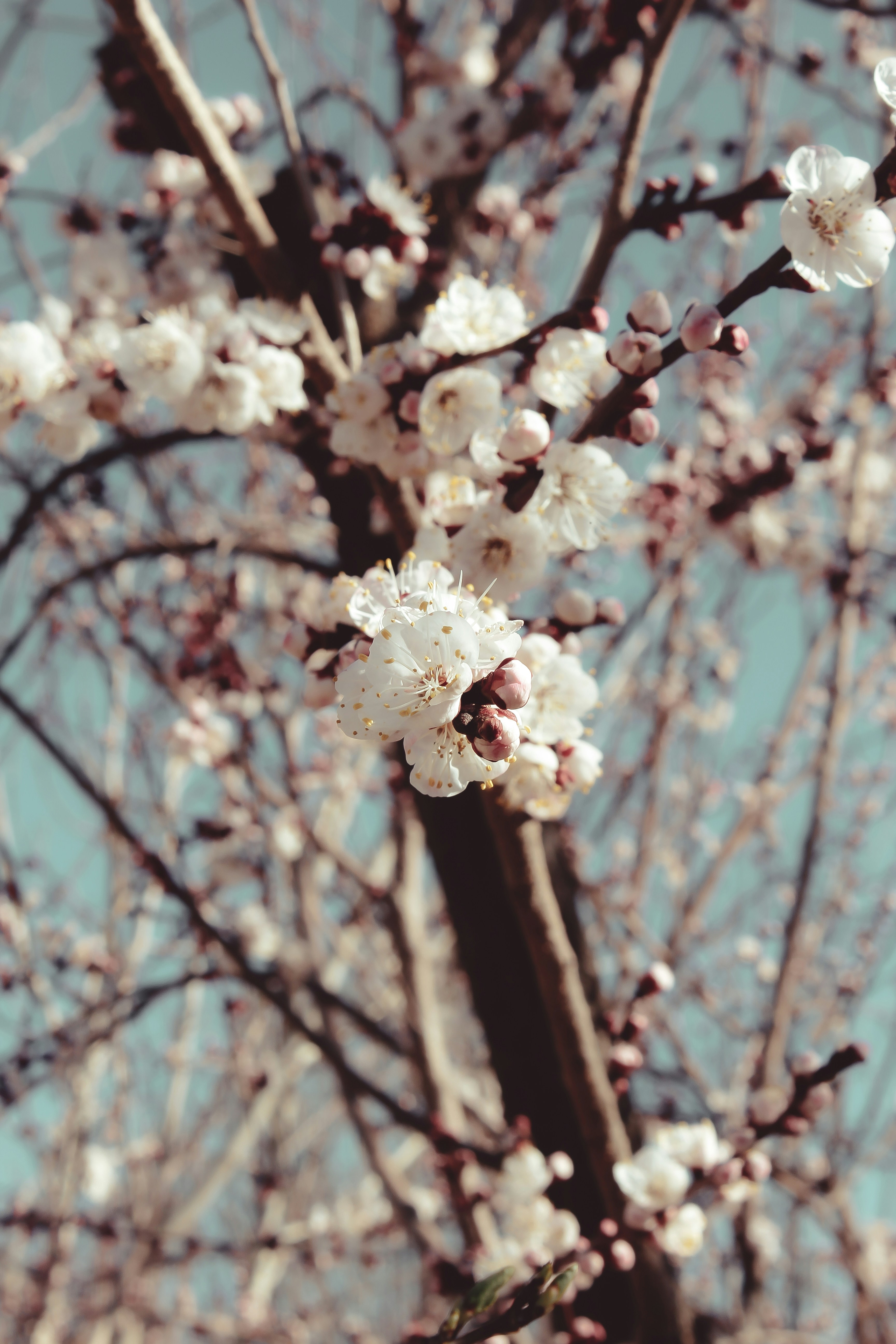 Photo by dreamwatcherx