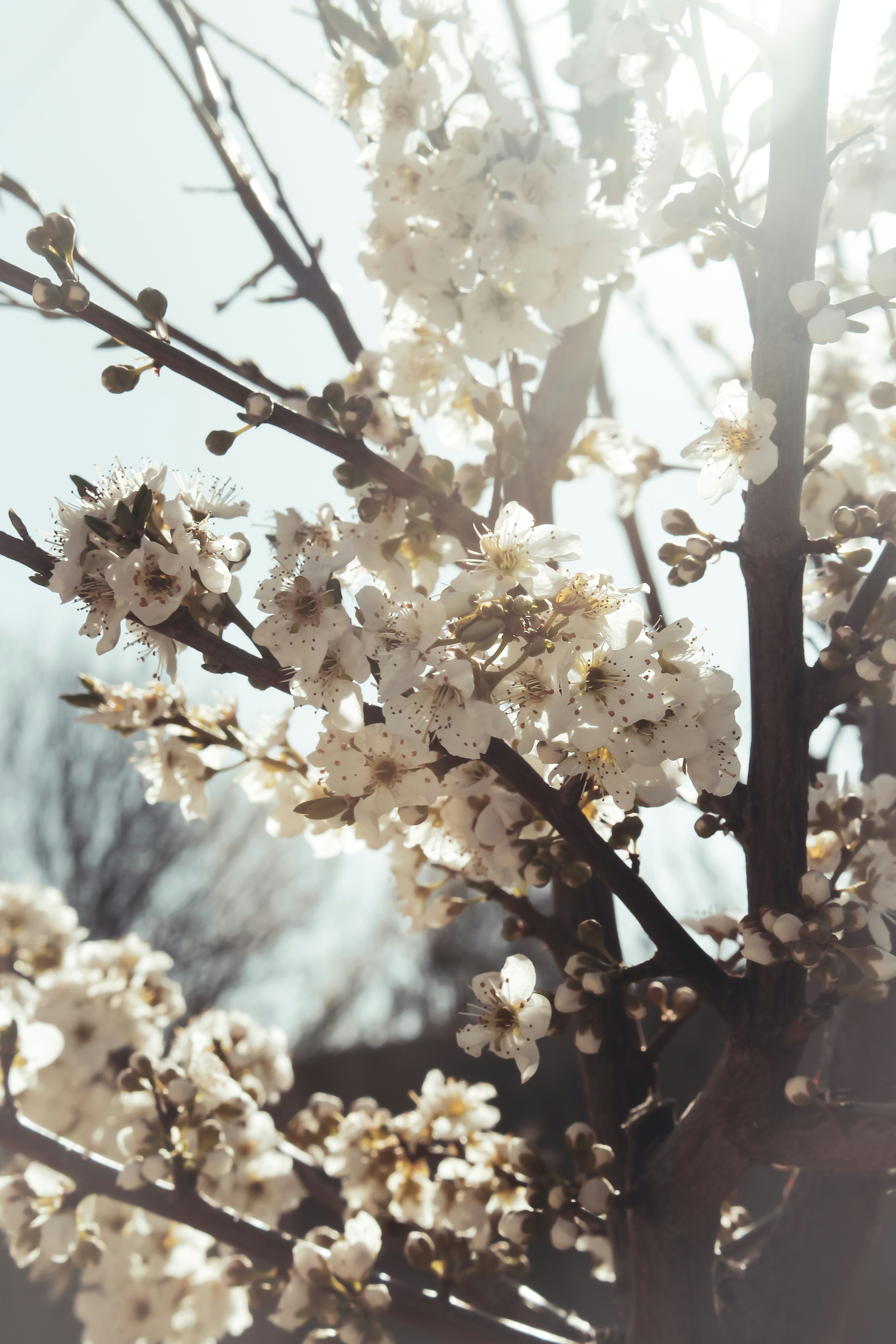 Photo by dreamwatcherx