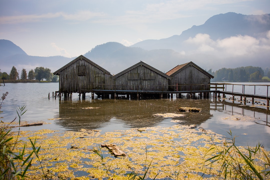 brown wooden house on water