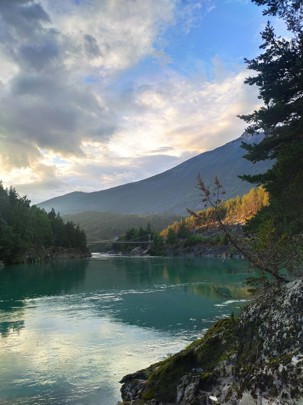 green trees near lake under white clouds and blue sky during daytime