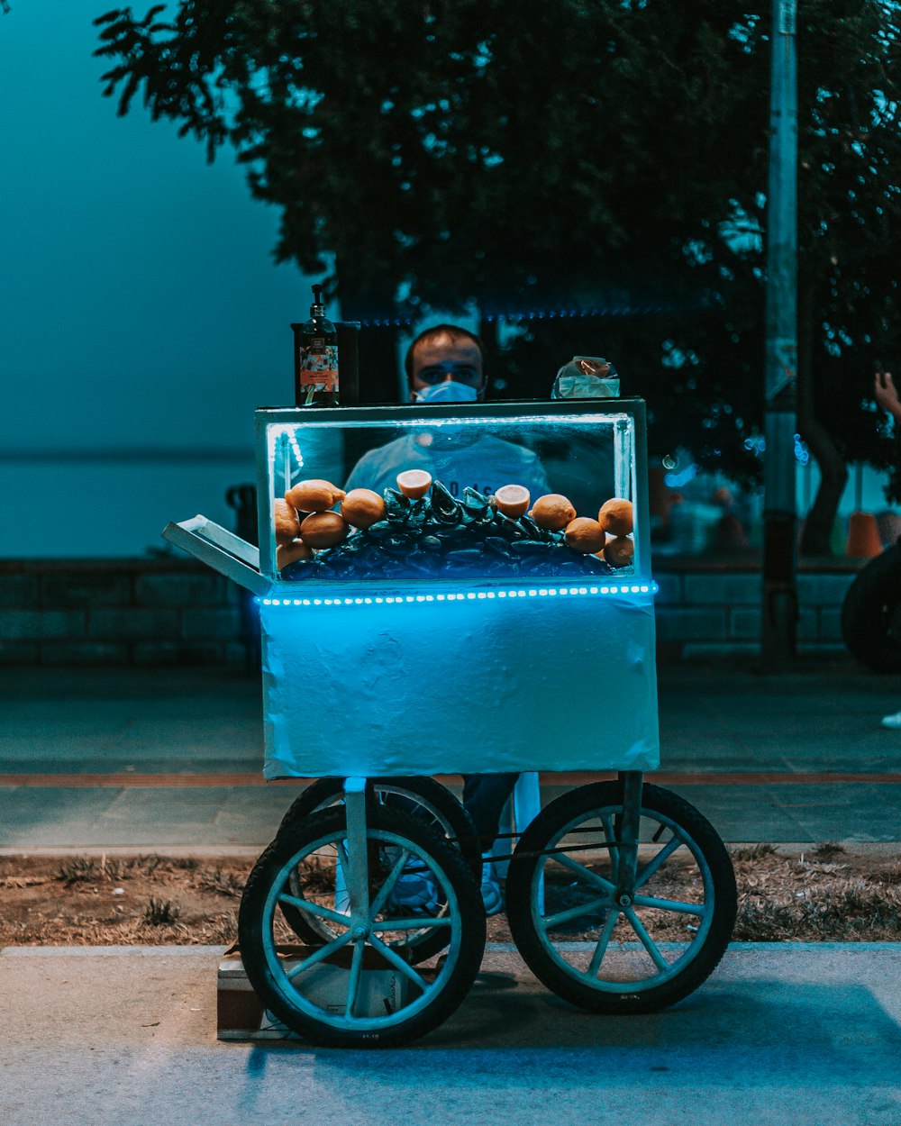 orange fruits in blue metal cart