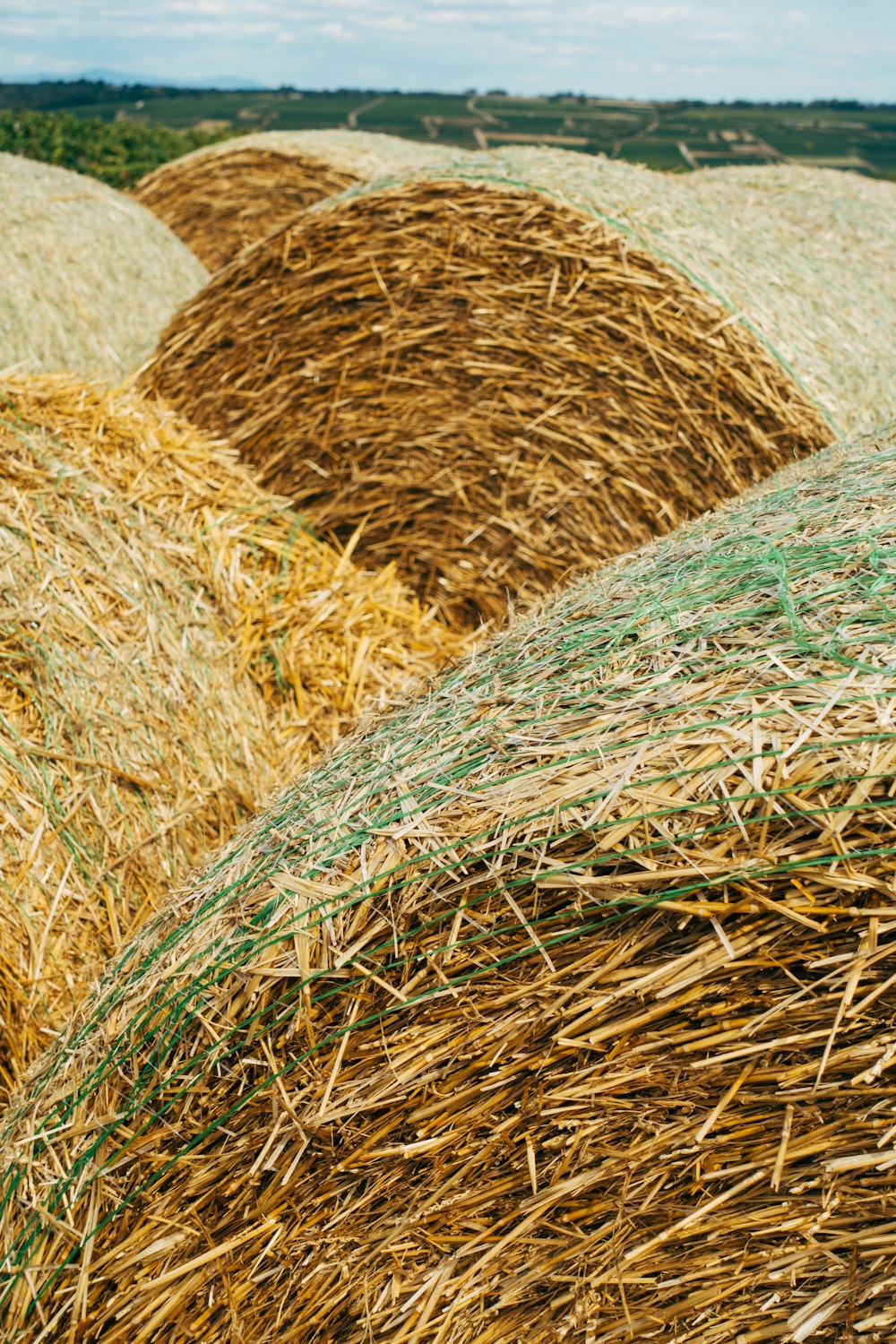 brown hay roll on white textile