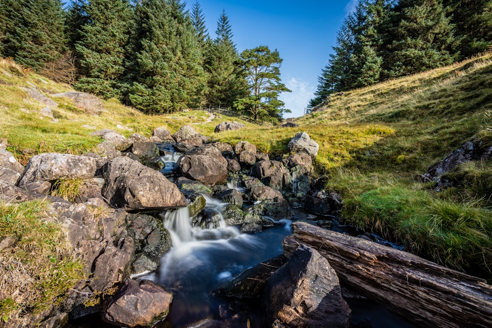 green grass and brown rocks near river during daytime