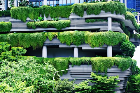 green plants on white concrete fence