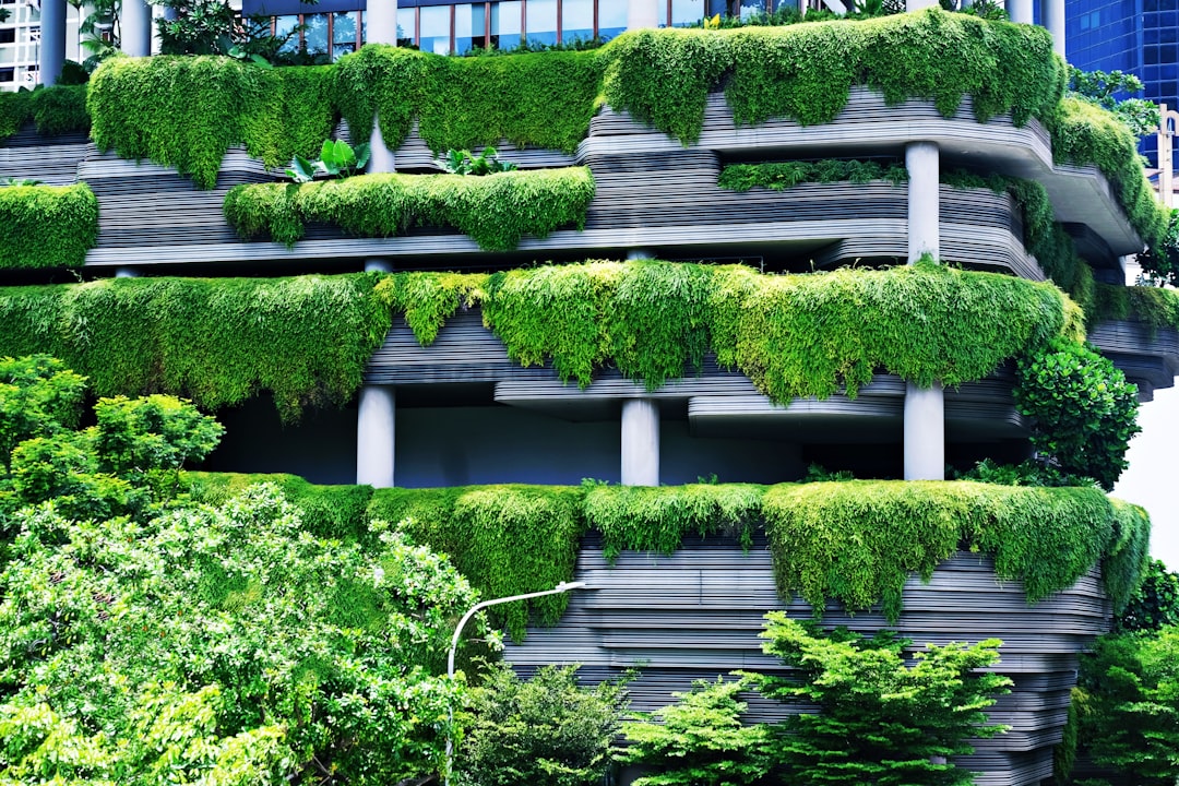 green plants on white concrete fence,