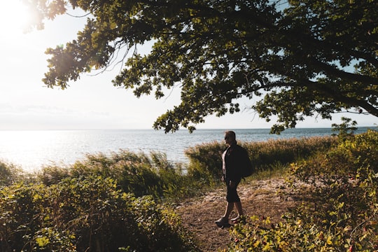 man in black jacket walking on green grass field near body of water during daytime in Jastarnia Poland