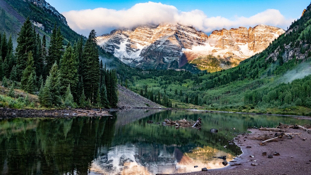 green pine trees near lake and snow covered mountain during daytime