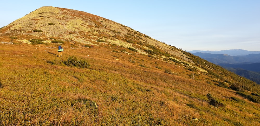 brown grass field under blue sky during daytime