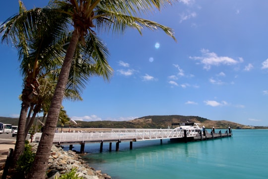 white and brown wooden dock on blue sea under blue sky during daytime in Hamilton Island Australia