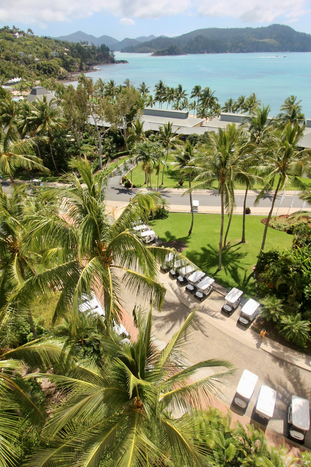 cars parked on parking lot near palm trees during daytime