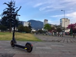 A sleek, modern electric scooter stands on a paved area in a park, with a backdrop of tall buildings against a mountainous landscape. The scene is dotted with green trees and some blooming with pink flowers, creating a serene urban environment.