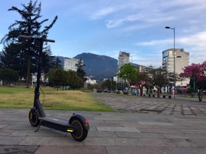 A sleek, modern electric scooter stands on a paved area in a park, with a backdrop of tall buildings against a mountainous landscape. The scene is dotted with green trees and some blooming with pink flowers, creating a serene urban environment.