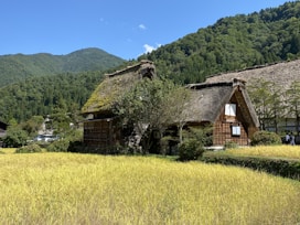 Traditional thatched-roof house surrounded by lush greenery and golden fields at the foot of a verdant mountain range under a clear blue sky.