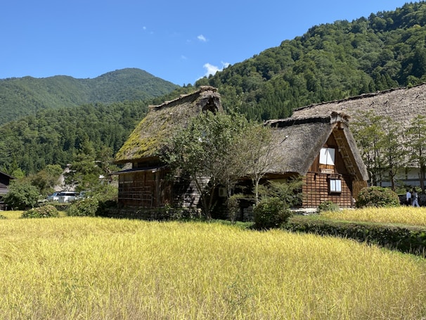 Traditional thatched-roof house surrounded by lush greenery and golden fields at the foot of a verdant mountain range under a clear blue sky.