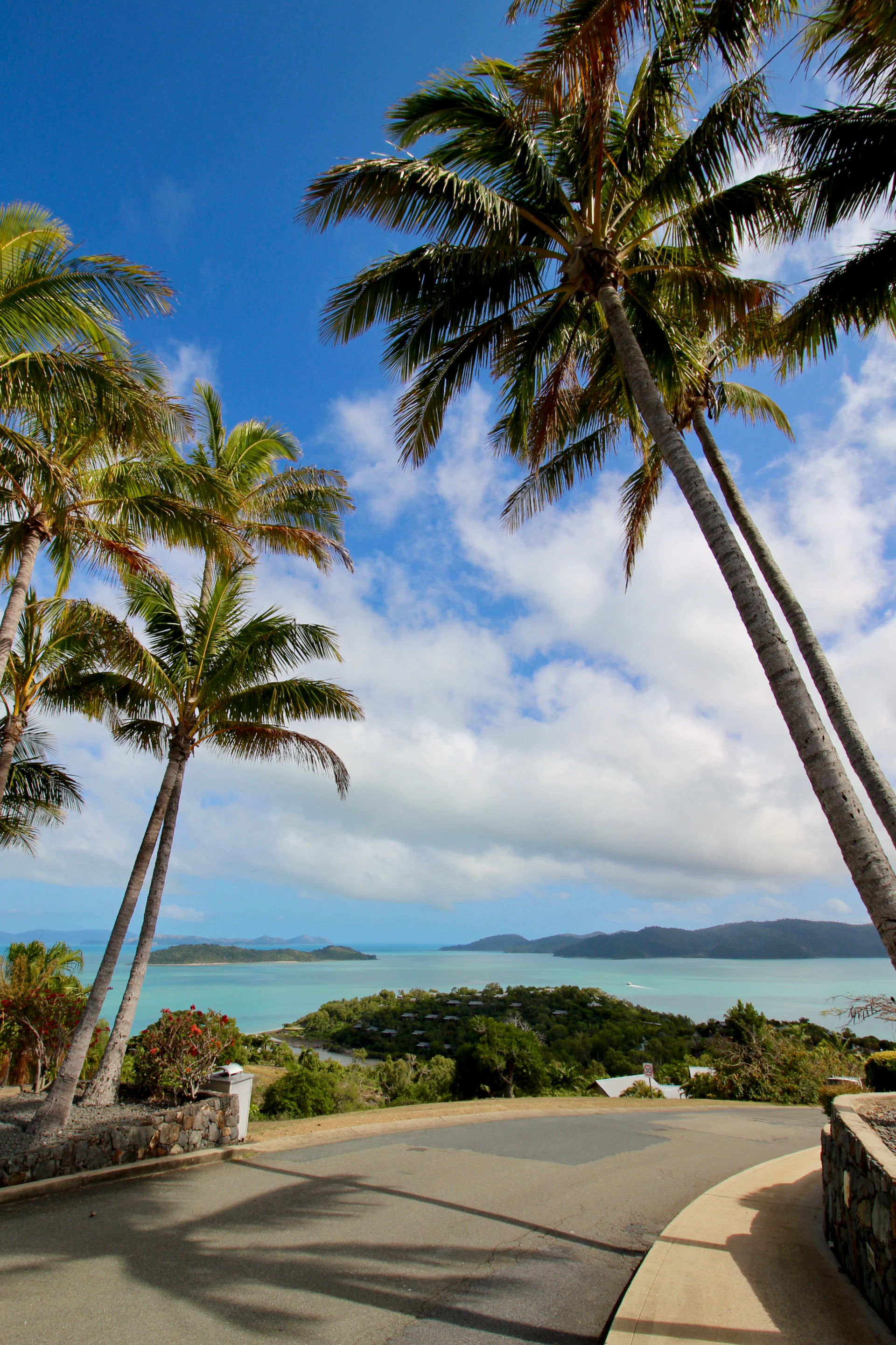 A peaceful Asian coastal road winding along turquoise waters, with a van parked beside palm trees.