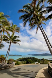 A scenic coastal view with tall palm trees framing the foreground, overlooking a serene turquoise sea and distant islands under a partly cloudy sky. The road curves gently towards the lush greenery, creating a tranquil tropical atmosphere.