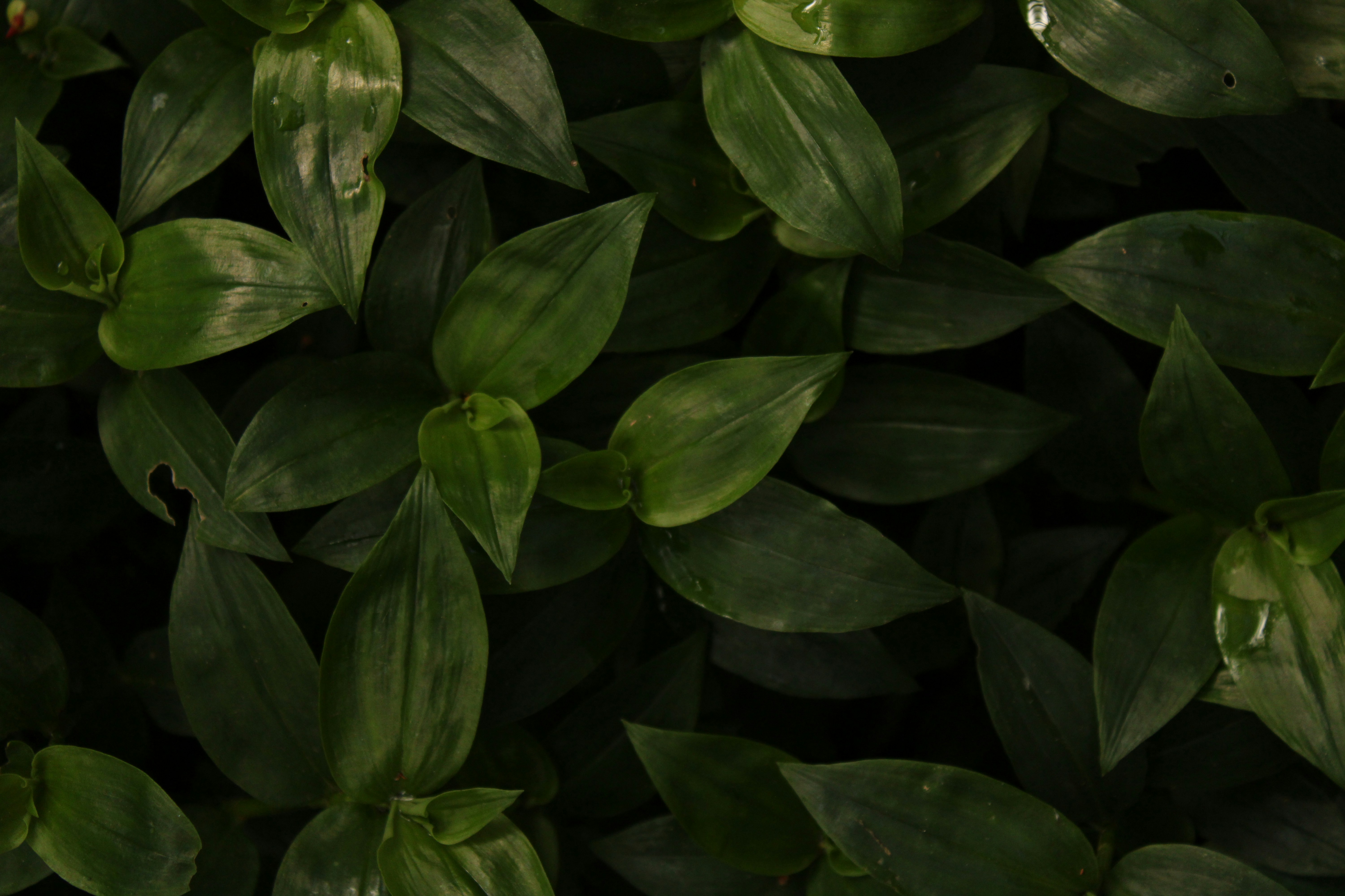 Photo by _sfletcher_