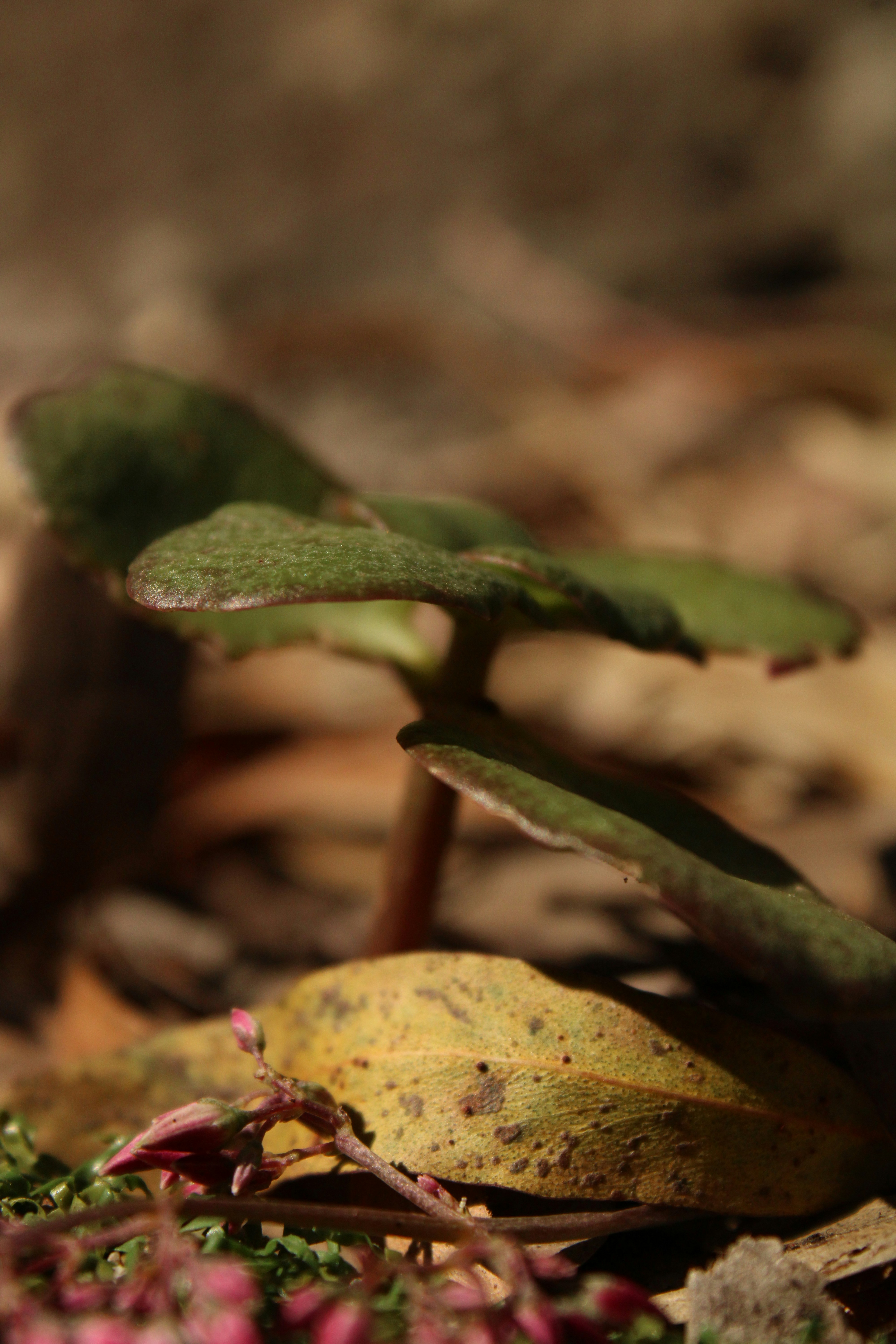 Photo by _sfletcher_